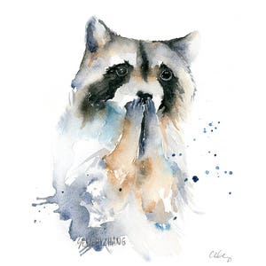 Raccoon Watercolor Fine Art Print - modern wild animal art, watercolor woodland animal art print, expressive raccoon art print
