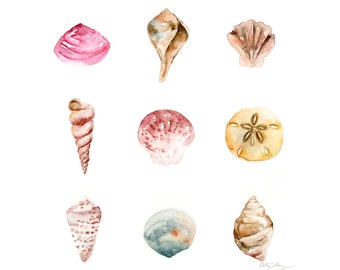 Sea Shells Watercolor Art Print: Modern Sea Shells Compilation Art Print, Sea Shells Watercolor Painting, Beach and Tropical Wall Decor