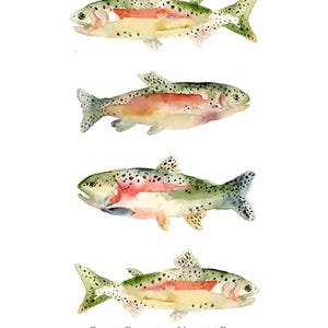 Custom Listing for Kathy S-Rainbow Trout Art Print