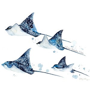 Eagle Rays Watercolor Art Print : Ocean Wildlife Art Print / Marine Animal art/ Art for Manta Ray and Sting Ray Lovers