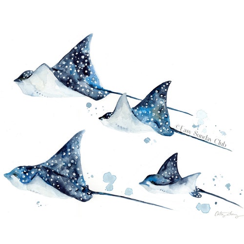 Manta Ray Watercolor Ocean Animal Print Manta Ray Wall Art - Etsy