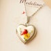 see more listings in the Cardinal LOCKET necklace section