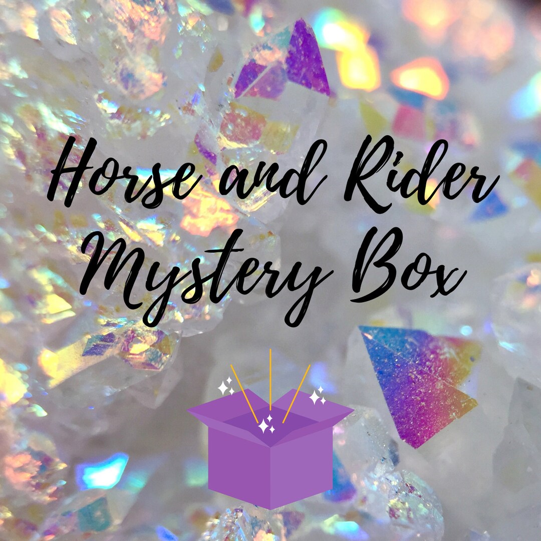 MYSTERY Box for Horse and Ridder Mystery Bag, Grab Bag, Horse Tack Mystery Box, Surprise Box