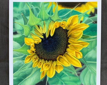 Sunflower Print Painting Sunflowers Flower Flowers Archival Giclée Floral Fine Art