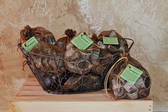 Wholesale Firestarters 10 Bags With 15 Firestarters In Etsy