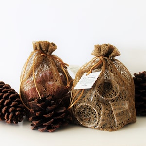 May include: Two small brown mesh bags filled with round objects, with a white tag on one bag that reads "Fire Starters". The bags are surrounded by three brown pine cones.