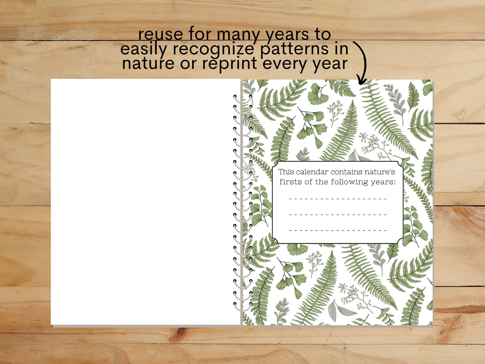 Calendar of Firsts Charlotte Mason Nature Study and - Etsy