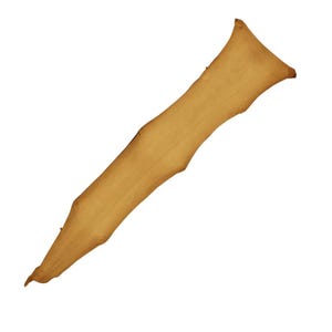 May include: A long, thin, light brown piece of leather. It is smooth and has a slightly textured surface.