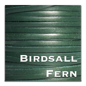 May include: Close-up of a spool of green leather cord. The cord is smooth and has a slight sheen. The text "BIRDASLL FERN" is printed on the spool.