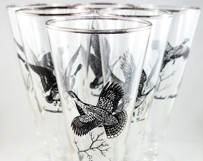 Man Cave Bonanza!! Set of 6 Vintage Game Bird Beer Glasses with Silver Rim