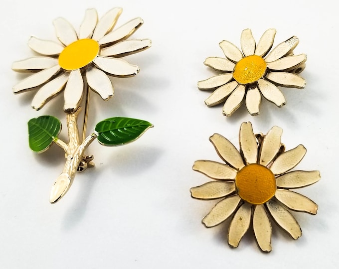 Crazy Daisy Brooch and Earring Set