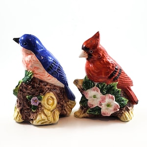 Wunderschöne Vogel Salz- und Pfefferstreuer. Kardinal und Blaue Jay Salz- und Pfefferstreuer. Vintage Küchen dekor.