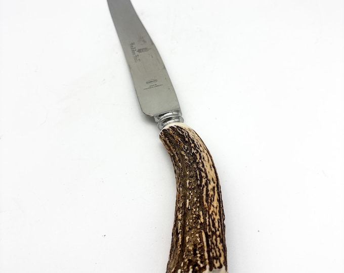 Genuine Carved Stag/Antler Horn 1 Piece Carving Knife, Haddon Hall, Stainless Steel