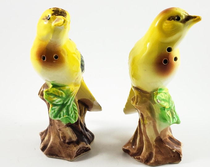 Gorgeous Goldfinch Bird Salt and Pepper Shakers. Vintage Kitchen Decor.