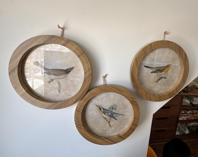 3 Framed Bird Illustrations