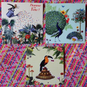 3 cartes "Oiseaux" : Colibri, toucan et Paon / Bonne fête et multi-occasions / birds greeting cards