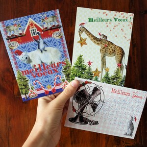 Lot de 3 cartes de voeux d'animaux / Girafe, ours blanc et pingouin / Humour