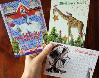 Set of 3 animal greeting cards / Giraffe, polar bear and penguin / Humor