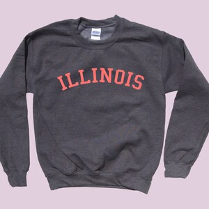 May include: A dark gray sweatshirt with the word "ILLINOIS" printed in a red-orange color across the chest.
