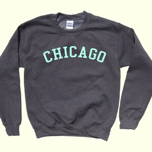 CHICAGO Illinois Crewneck Pride Sweatshirt image 3