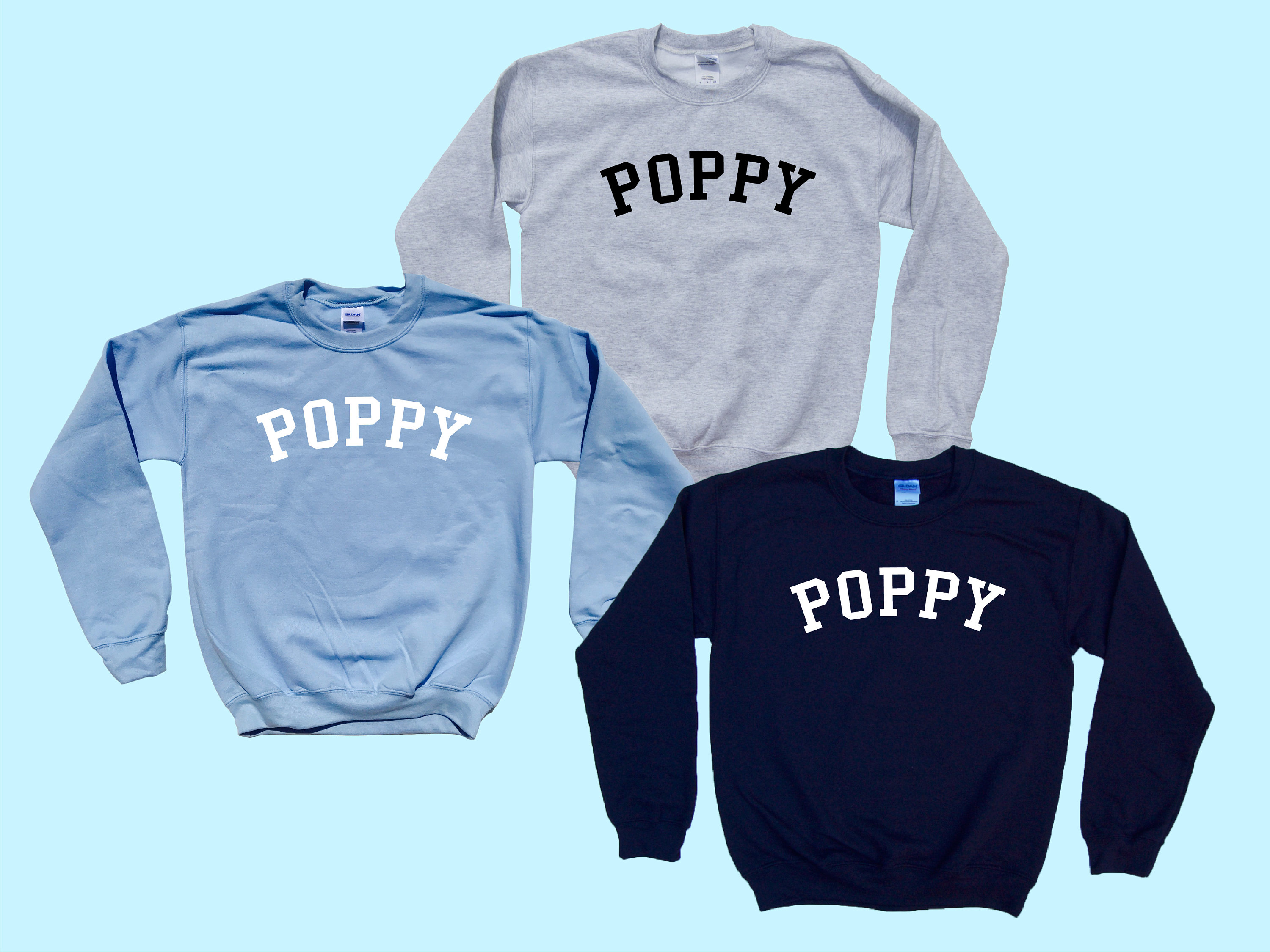 トップス POPPY BIG LOGO SWEATSHIRT (BLUE) Poppy Hoodie Sweatshirt – KC Cool