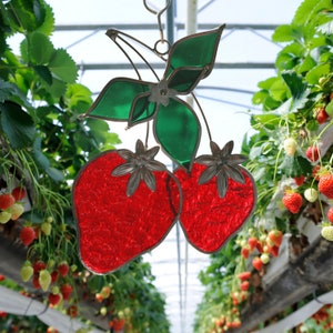 Stained glass Strawberries suncatcher with leaves and textured red glass.