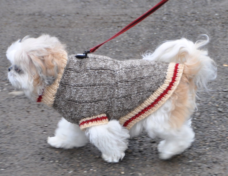 Sock Monkey Dog Sweater Knitting Pattern Etsy