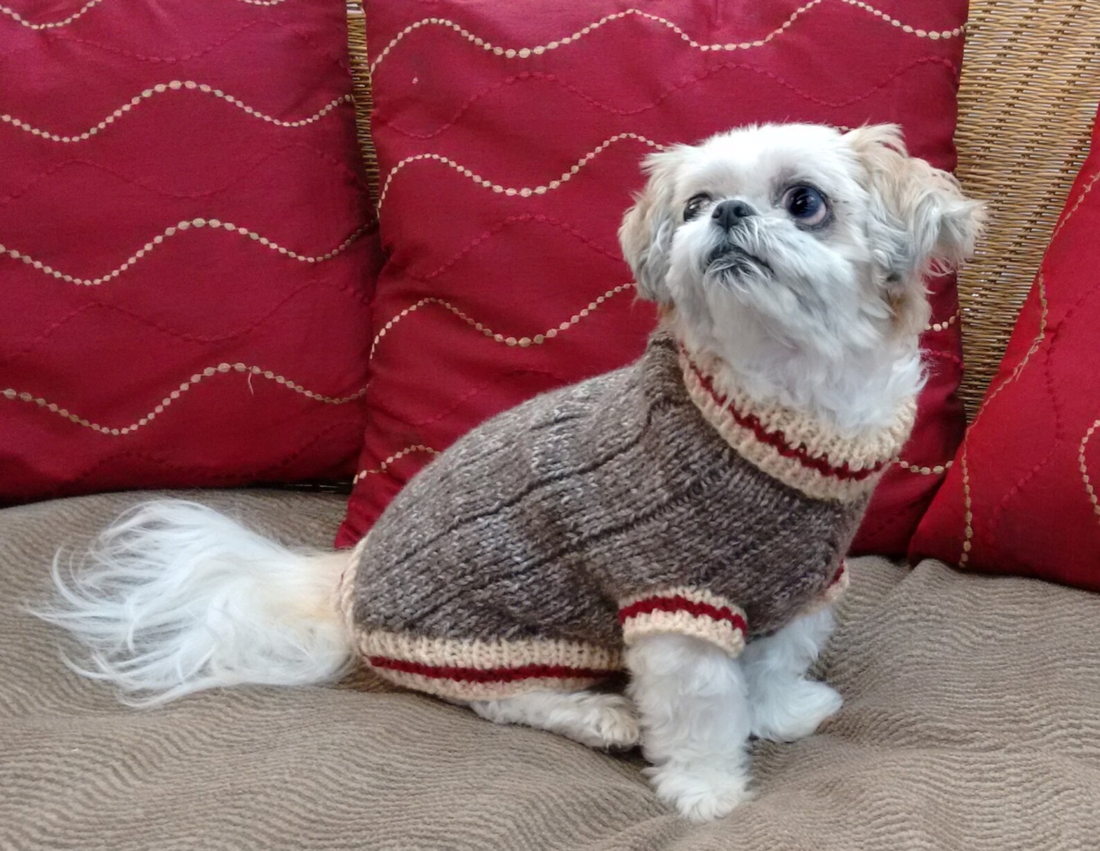 Sock Monkey Dog Sweater Knitting Pattern Etsy