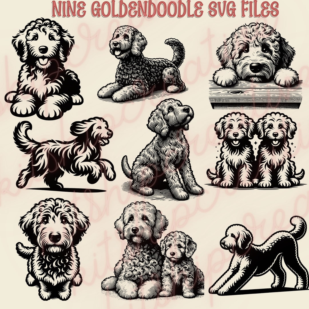 Goldendoodle SVG PNG Bundle - Etsy