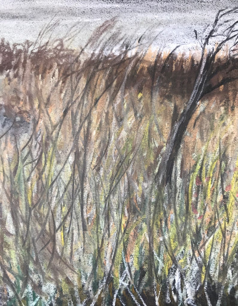 May include: A pastel drawing depicting a windswept field of tall grass. The artwork uses earthy tones of brown, yellow, and green, with a dark tree on the right and a grey sky. The style is similar to a landscape painting.