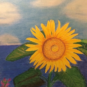 Sonnenblume an der Steilküste、Pasellkreide auf Papier、DIN A3、maritime Malerei von Marc Wolf