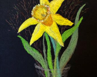 Narzisse auf schwarzem Hintergrund , Pastellkreide auf Fotokarton , 24,8x18,5 cm