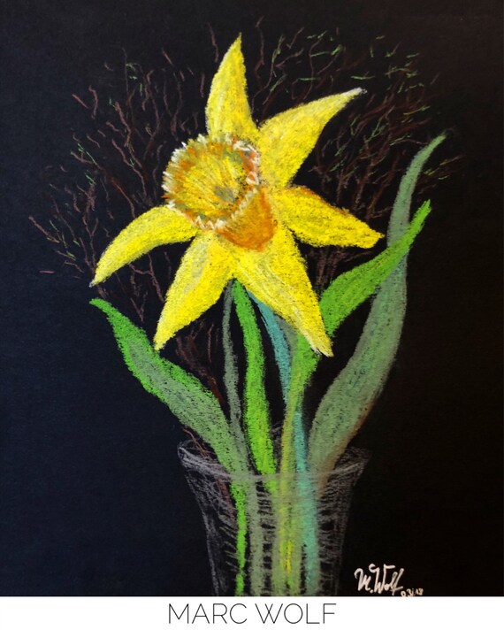 Narzisse auf schwarzem Hintergrund , Pastellkreide auf Fotokarton , 24,8x18,5 cm