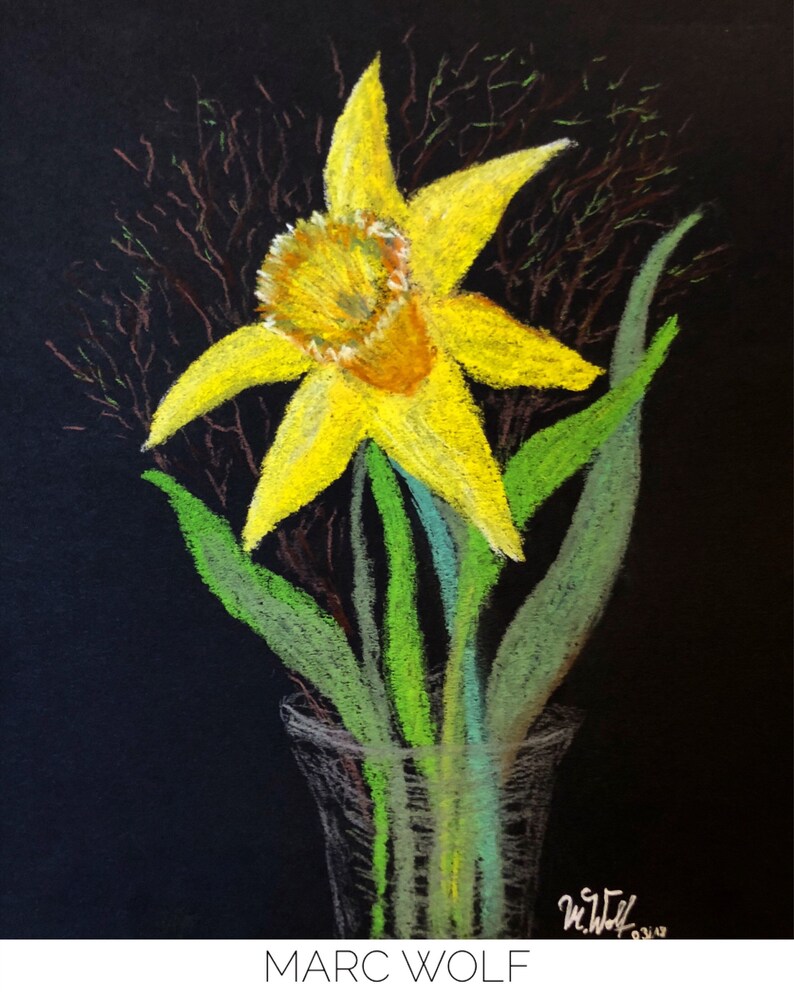 May include: A single yellow daffodil with green leaves in a clear glass vase against a black background. The artist's signature, "M. Wolf", is in the bottom right corner.