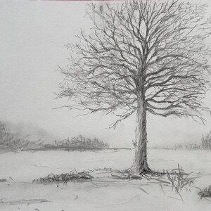 Peut inclure: Un dessin au crayon d'un arbre dénudé dans un paysage enneigé. L'arbre est au centre de l'image et constitue le point focal. La neige est blanche et le ciel est gris.