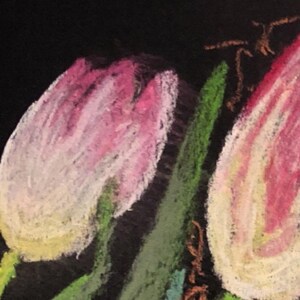 May include: Two pink and white tulips with green stems on a black background. The tulips are drawn with pastel chalk.