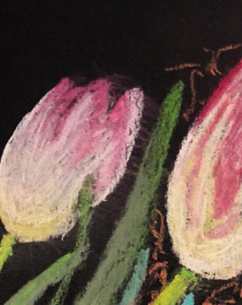 May include: Two pink and white tulips with green stems on a black background. The tulips are drawn with pastel chalk.
