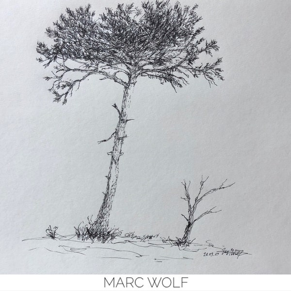 Kiefer Studie, Künstlertusche auf Papier , original Zeichnung von Marc Wolf