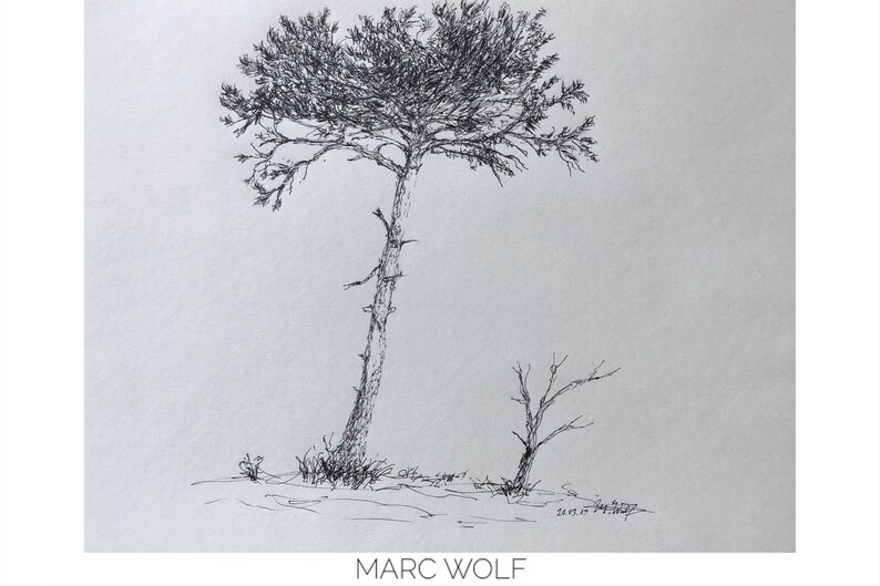 May include: A black and white ink drawing of two trees. The larger tree is tall and slender with a wide, spreading crown. The smaller tree is bare and spindly. The drawing is signed "Marc Wolf" in the bottom right corner.