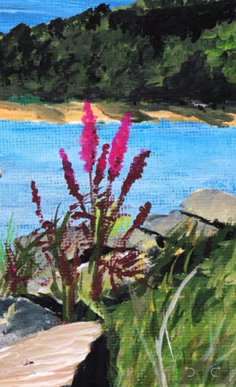 K&ouml;nnte beinhalten: Ein Gem&auml;lde, das eine Seenszene mit einer Gruppe rosa Bl&uuml;ten im Vordergrund zeigt. Die Bl&uuml;ten wachsen an einem felsigen Ufer mit gr&uuml;nem Gras und einem blauen See dahinter. Der Hintergrund zeigt einen gr&uuml;nen H&uuml;gel.