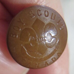 May include: A brown plastic button with the words "Boy Scouts of America" and a brown lily flower design.