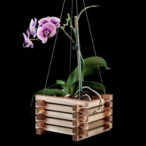 Shoji Hanging Orchid Planter image 2