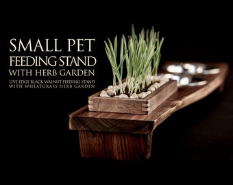 Live Edge Walnut Elevated Small Pet Feeding Stand with Wheatgrass Planter