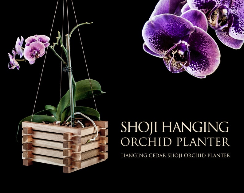 Shoji Hanging Orchid Planter image 1