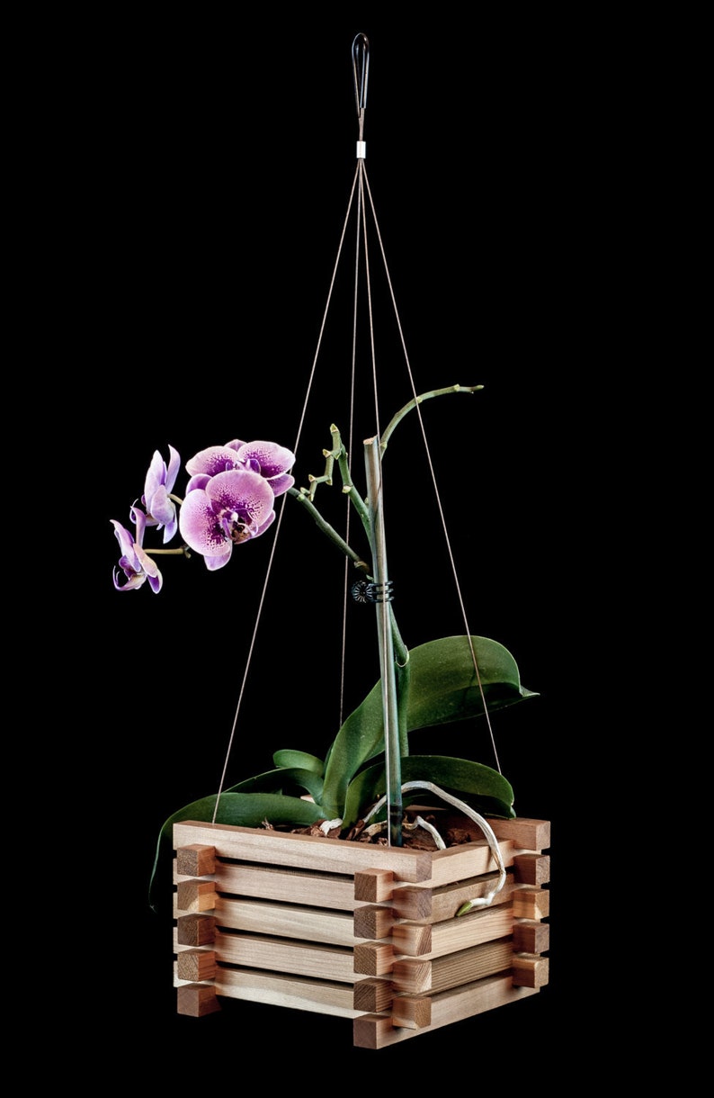 May include: A pink and white orchid plant in a wooden hanging planter. The planter is made of light brown wood and has a rectangular shape. The plant is hanging from a metal hook.