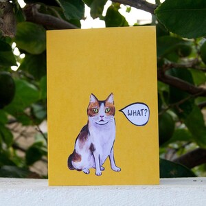 Cat Says What - Greeting cards - Blank Cards With Envelopes - Illustration - Stationary Card - Funny Card - Birthday Card