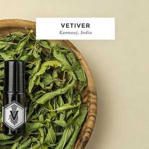 Può includere: Una bottiglia nera di olio essenziale con un'etichetta bianca con un disegno di grano e la lettera "V" è posta in una ciotola di legno piena di foglie verdi essiccate. Il testo "VETIVER Kannauj, India" è visualizzato su un rettangolo bianco.