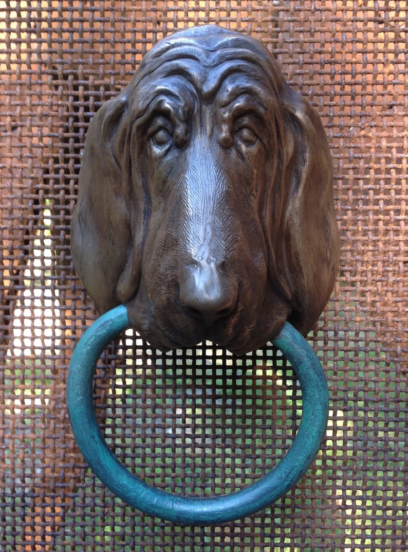 Bloodhound image 3
