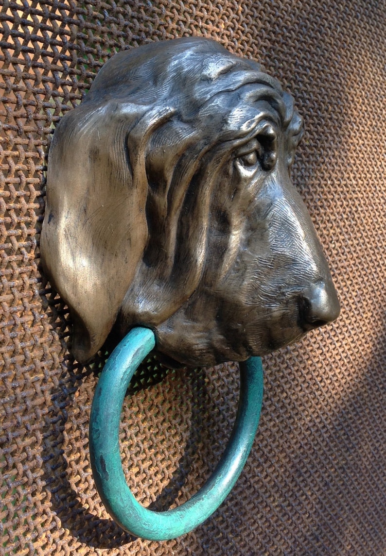 Bloodhound image 2