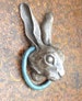 March Hare 